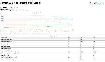 AppPerfect Agentless Monitoring tool : Server Monitor reports